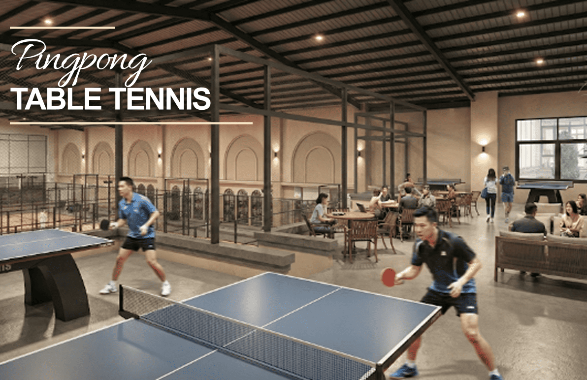 Pingpong & Table Tennis